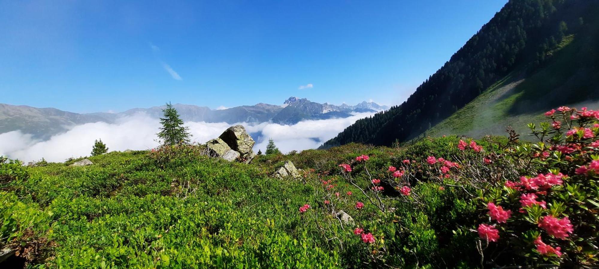 Apartment Peer Neustift im Stubaital Esterno foto
